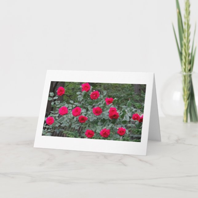 Summer roses birthday card (Front)