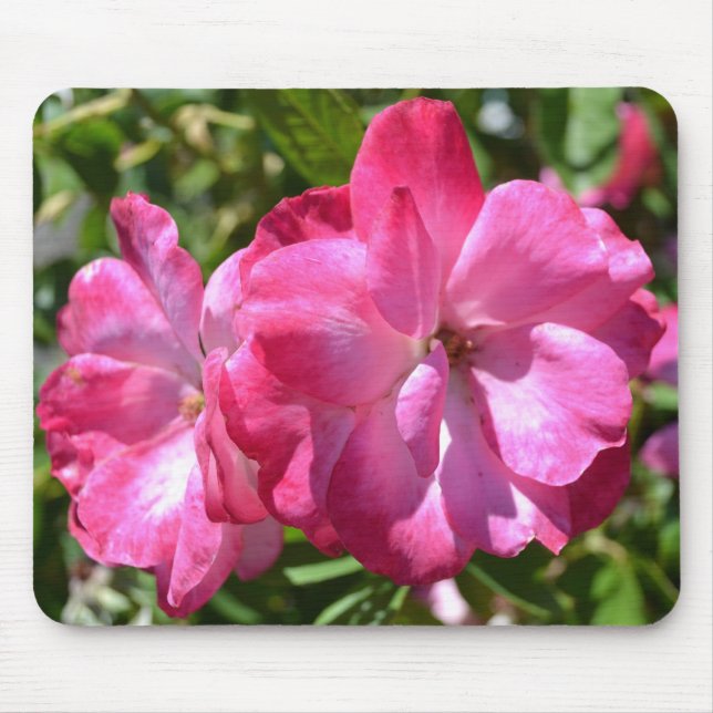 Summer Roses Mouse Pad (Front)