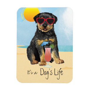 Summer Rottweiler Magnet