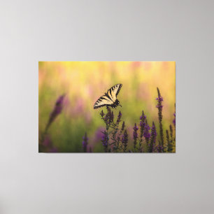 Summer Scene, Butterfly and Loosestrife  Canvas Print