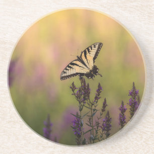Summer Scene, Butterfly and Loosestrife Coaster