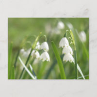 Summer Snowflakes DIY Postcard