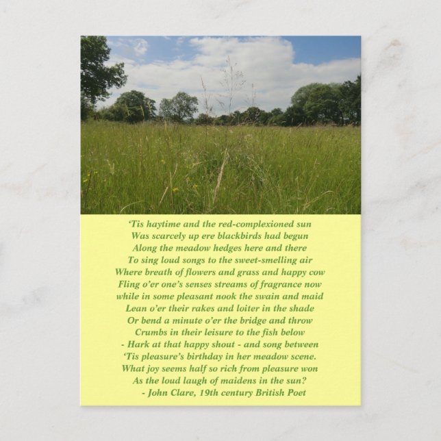 Summer Solstice Haymaking Postcard (Front)