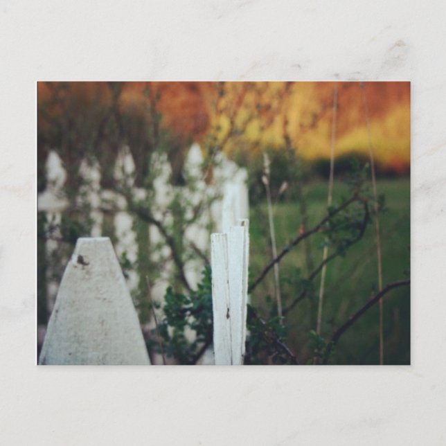 Summer solstice postcard (Front)