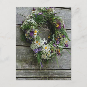 Summer solstice postcard