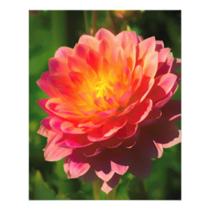 Summer Spectacle Photo Print