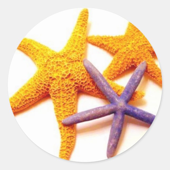 Summer Starfish Stickers (Front)