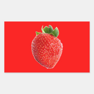 Summer Strawberry Sticker