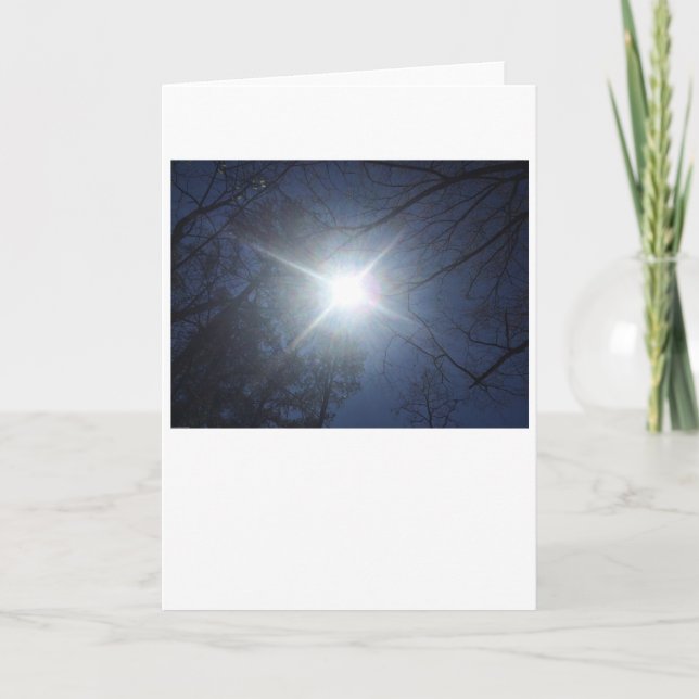 Summer Sun, card (Front)