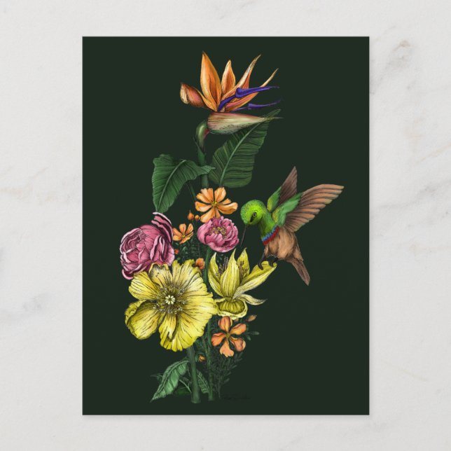 Summer Sunbird in Colourful Floral Bouquet Artwork Postcard (Front)