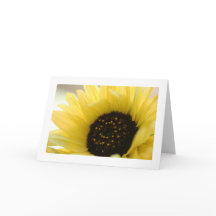 Summer Sunflower Organic Blank Greeting Card