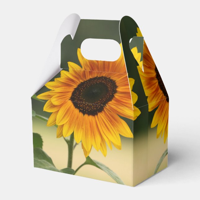 Summer Sunflower Organic Favour Box (Back Side)
