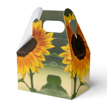 Summer Sunflower Organic Favour Box