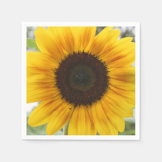 Summer Sunflower Paper Napkin (Front)