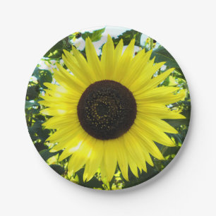 Summer Sunflower Paper Plate