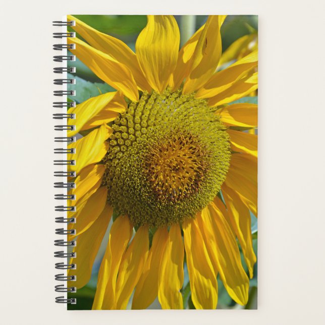 Summer sunflower planner (Front)