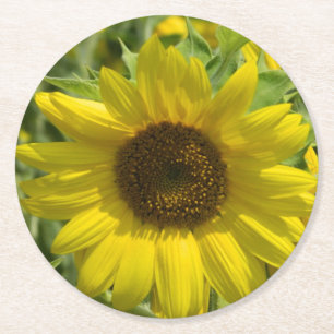 Summer Sunflower Round Paper Coaster