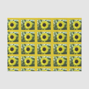 Summer Sunflower Tissue Paper