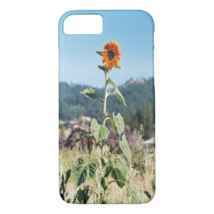 Summer Sunflowers....... Case-Mate iPhone Case