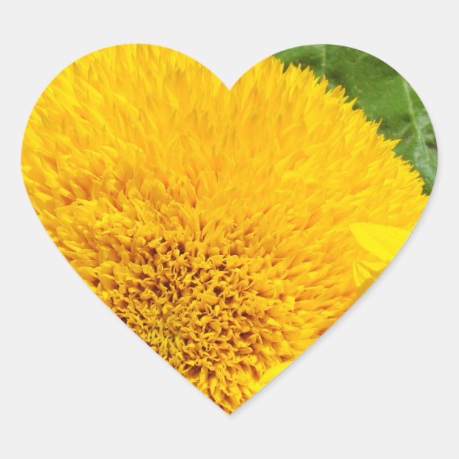 Summer Sunflowers Stickers Heart Shape custom (Front)