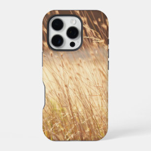 Summer Sunset Field Grass iPhone 16 Pro Case