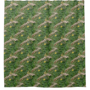 Summer Tall Grass Nature Pattern