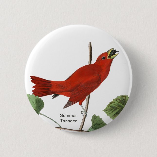 Summer Tanager, Audubon Red Bird, Birdwatcher Bird 2 Inch Round Button (Front)