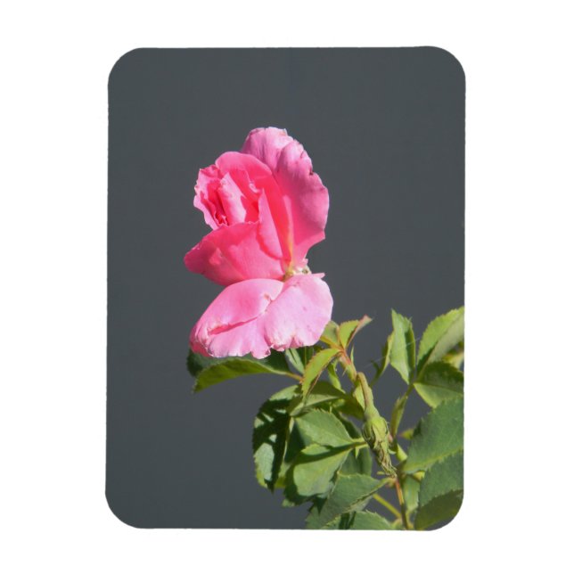 Summer Time Love... Magnet (Vertical)