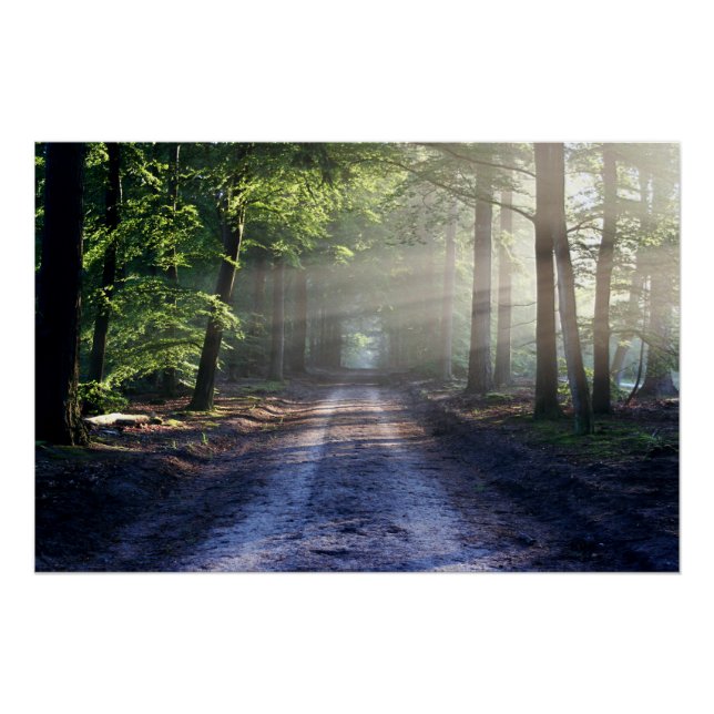 Summer Trees Covering Dirt Road Poster (Front)