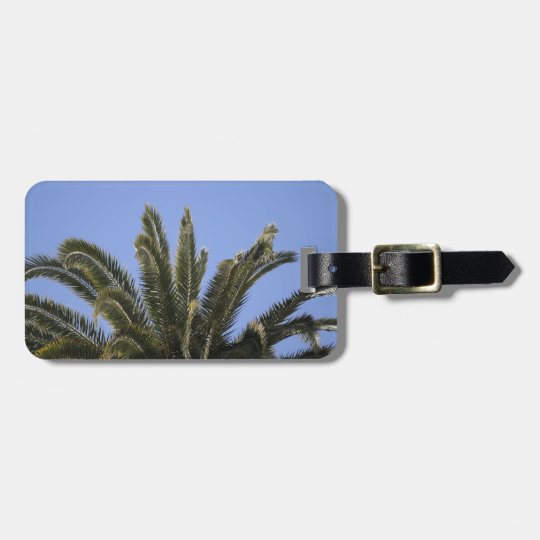 Summer Tropical Palm Tree Fronds Luggage Tag