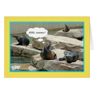 Summer Vacation! Time for chillaxin'