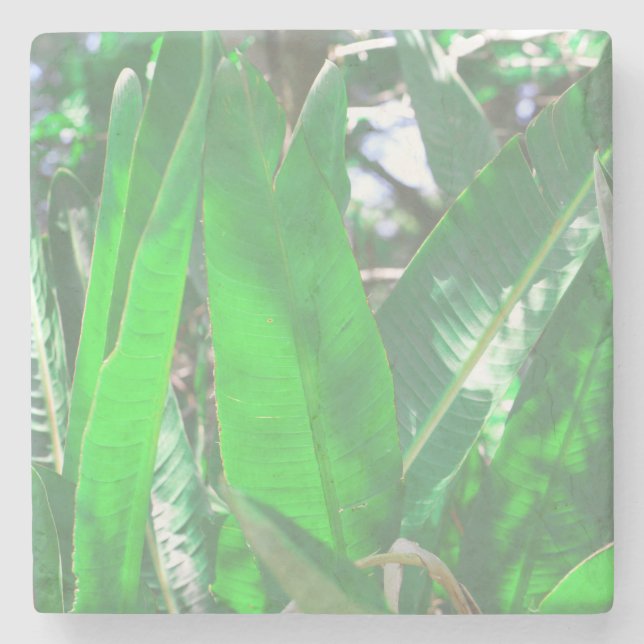 Summer Vibes Banana Tree Leaves Pale Green Pastel Stone Coaster (Front)