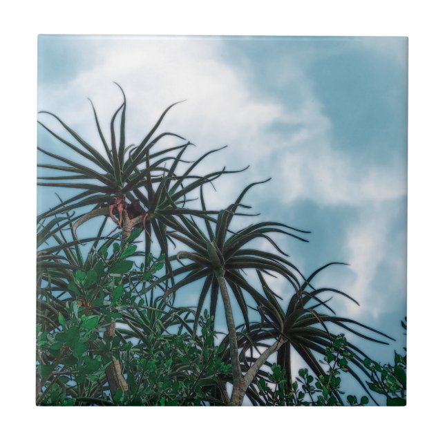 Summer Vibes Palm Tree Cactus Pale Green Tile (Front)