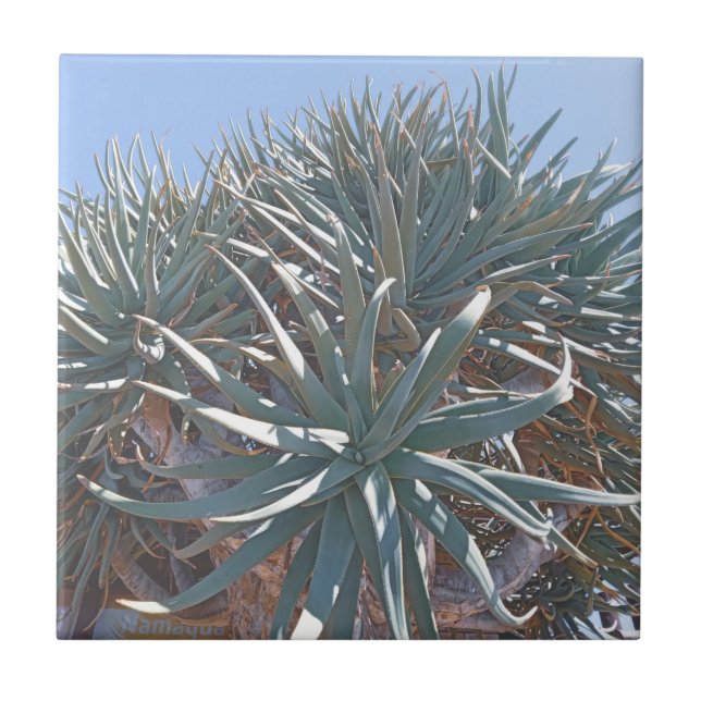 Summer Vibes Palm Tree Cactus Pale Green Tile (Front)