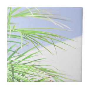 Summer Vibes Palm Tree Leaves Pale Green Pastel Tile