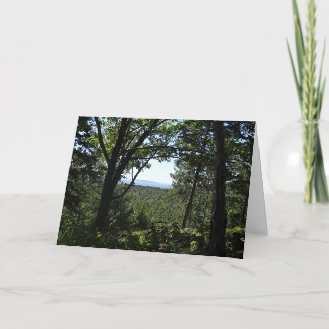 Summer View in Acadia National Park Card (Front)