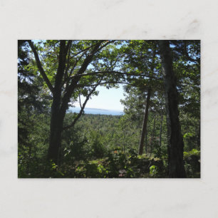 Summer View in Acadia National Park Postcard
