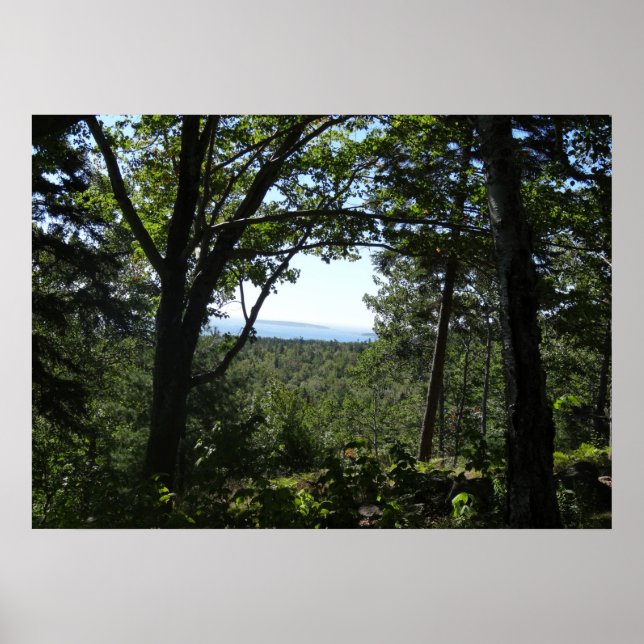 Summer View in Acadia National Park Poster (Front)