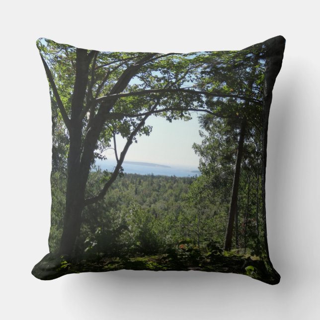 Summer View in Acadia National Park Throw Pillow (Front)