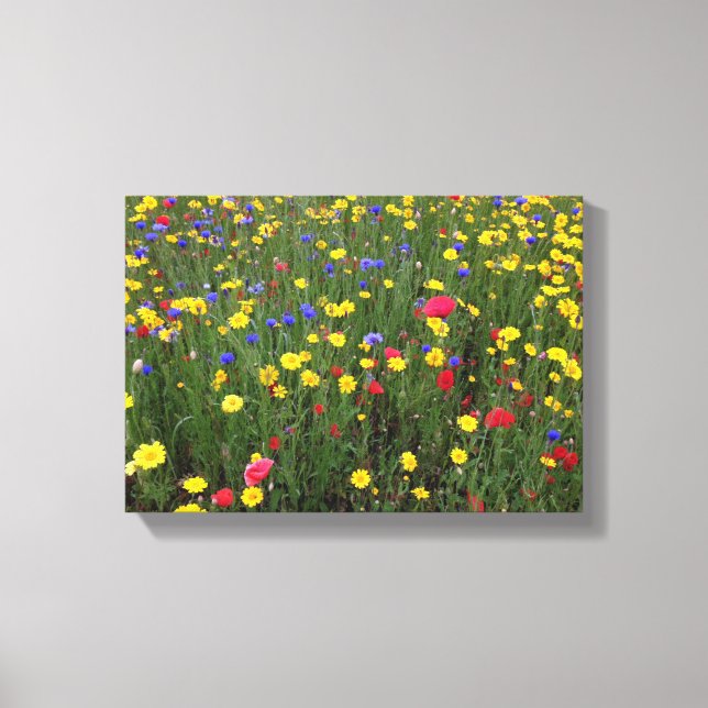 Summer Wildflowers from Loch Ness Canvas Print (Front)
