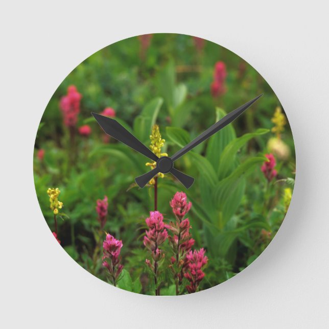 Summer Wildflowers Send Forth A Riot Of Colour Round Clock (Front)