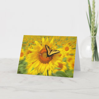 Summer wings ,greeting card