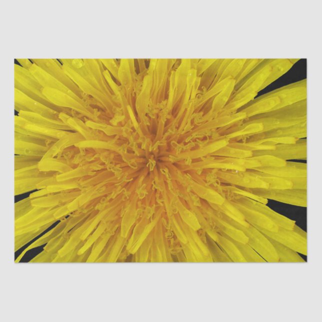 Summer Yellow Dandelion Flower on any Colour Tissue Paper (Front)