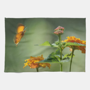 Summer's Light Kitchen Towel