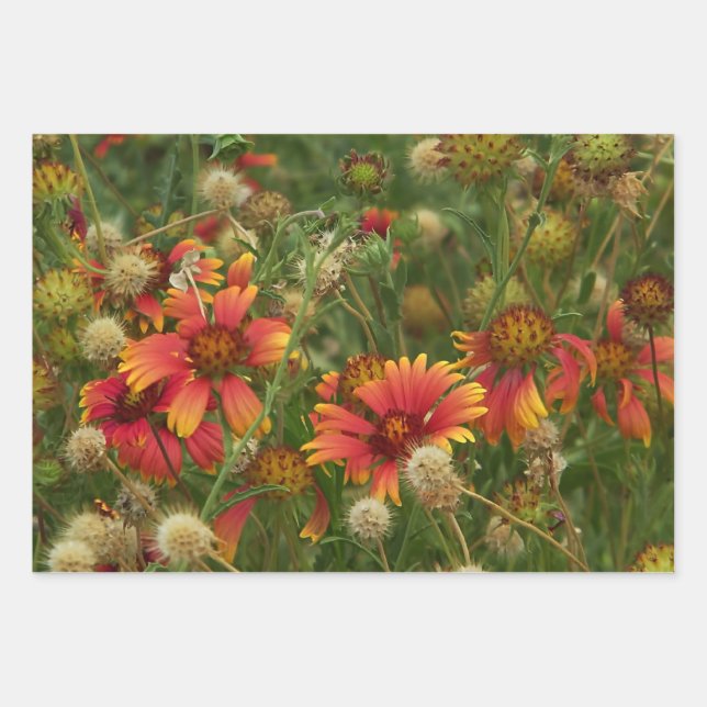 Summertime floral  wrapping paper sheet (Front 2)
