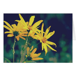 Summertime Wildflowers