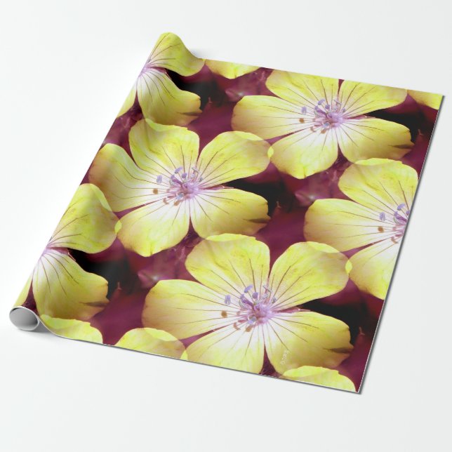 Summery Yellow.... Wrapping Paper (Unrolled)