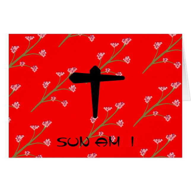 SUN AM I (Devant horizontal)