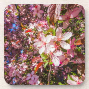 Sun and clouds Nature blooms Heart in flowers Coaster