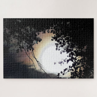 Sun And Pin Oaks Jigsaw Puzzle